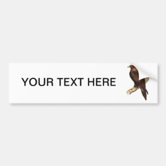 The Wedge Tailed Eagle. A Magnificent Bird of Prey Bumper Sticker