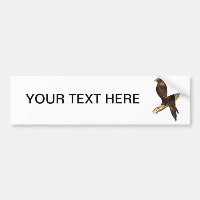 The Wedge Tailed Eagle. A Magnificent Bird of Prey Bumper Sticker (Front)