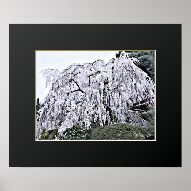 The Weeping Cherry Tree: Ōno-ji temple Poster (Front)