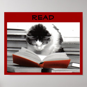 The Well-Read Cat Literacy Poster