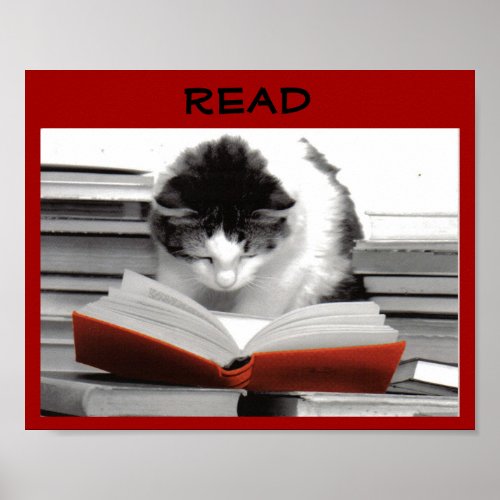 The Well_Read Cat Literacy Poster