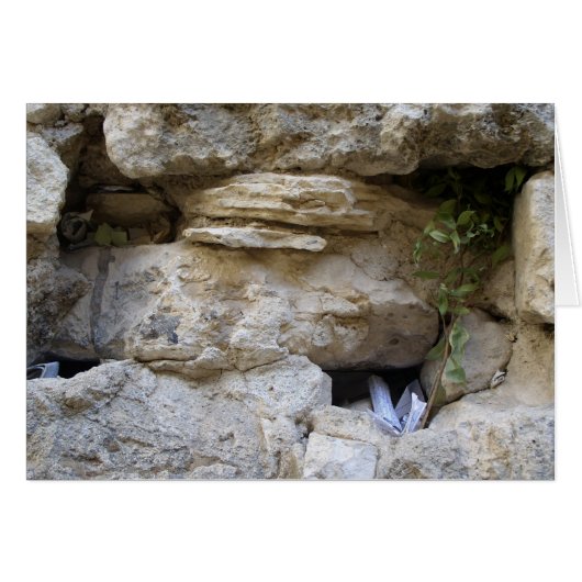 The Western Wall Cards (Front Horizontal)
