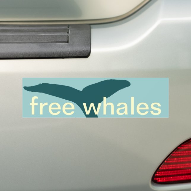 the whales bumper sticker (On Car)
