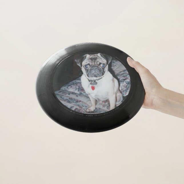 The Wham-O Ultimate Frisbee (In Hand)