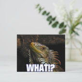 The What!? Iguana (Standing Front)