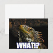 The What!? Iguana (Front/Back)