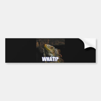 The What!? Iguana Bumper Sticker