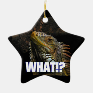 The What!? Iguana Ceramic Ornament
