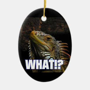 The What!? Iguana Ceramic Ornament