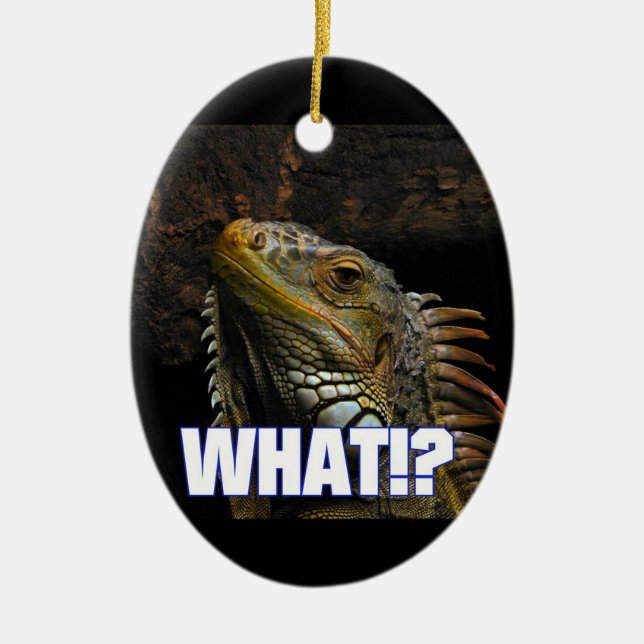 The What!? Iguana Ceramic Ornament (Front)