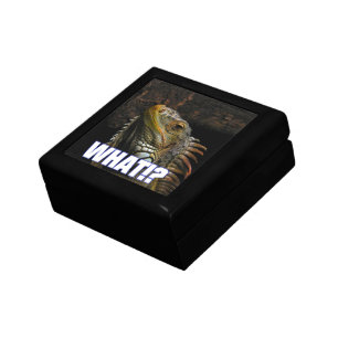 The What!? Iguana Jewelry Box