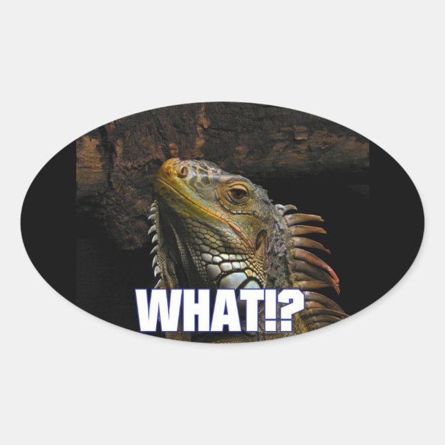 The What!? Iguana Oval Sticker (Front)