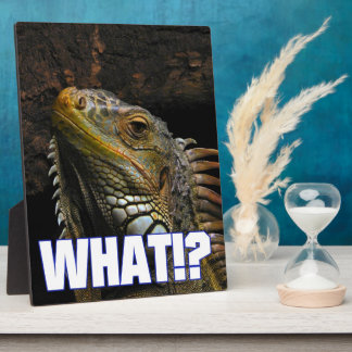 The What!? Iguana Plaque
