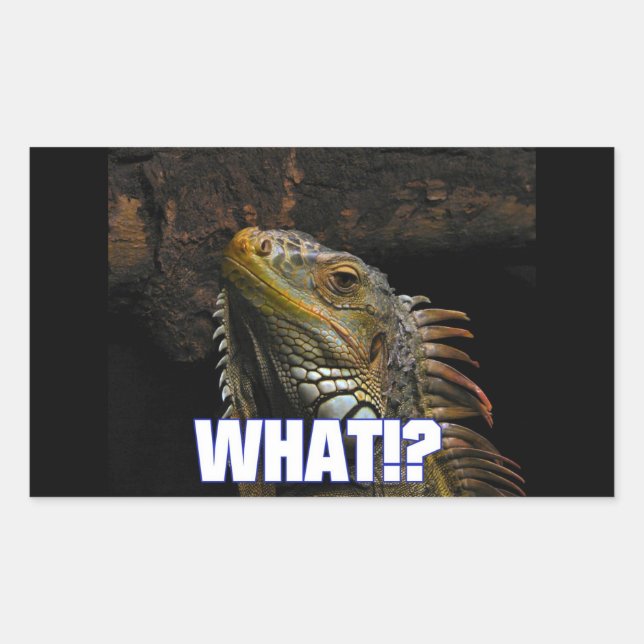 The What!? Iguana Rectangular Sticker (Front)