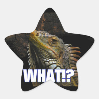 The What!? Iguana Star Sticker