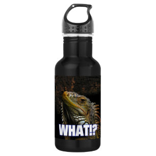 The What!? Iguana Water Bottle