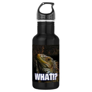 The What!? Iguana Water Bottle