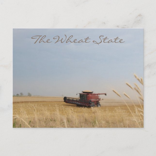 The Wheat State Postcard (Front)