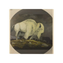 The White Buffalo