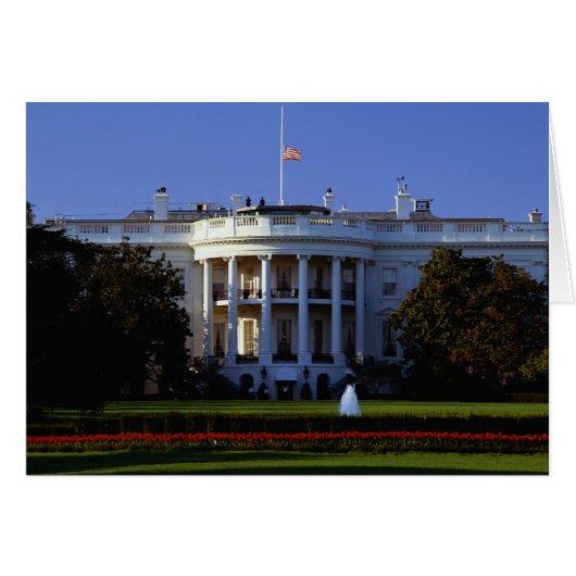 The White House Cards (Front Horizontal)