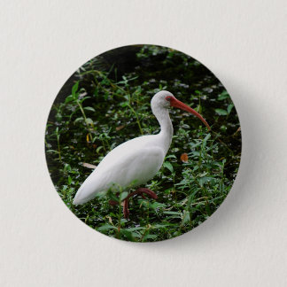 The White Ibis... Pinback Button