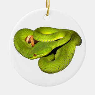 The white-lipped pit viper ceramic ornament