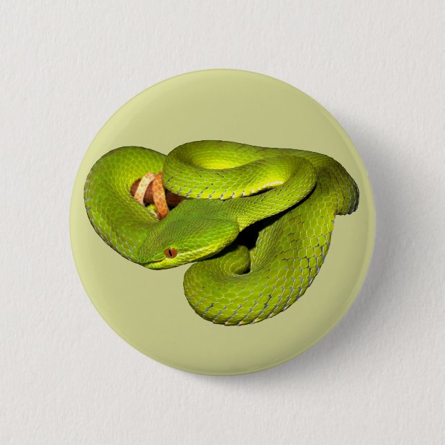 The white-lipped pit viper pinback button (Front)