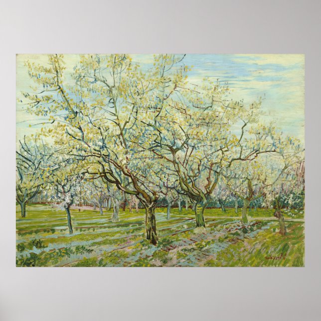 The white orchard by Vincent Van Gogh Poster (Front)