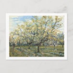 The White Orchard (F403) Van Gogh Fine Art Postcard<br><div class="desc">White Orchard,  Vincent van Gogh 1888.  Amsterdam. F 404</div>