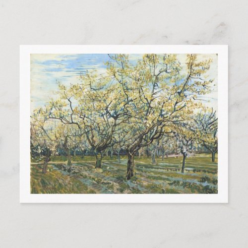 The White Orchard F403 Van Gogh Fine Art Postcard