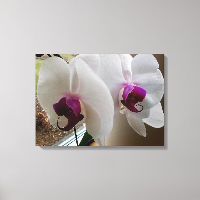 THE WHITE ORCHID canvas Print (Front)