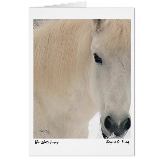 The White Pony Cards (Front)