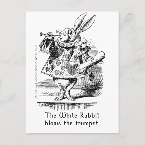 The White Rabbit Blows the Trumpet Postcard