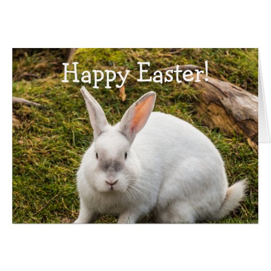The White Rabbit Easter Cards (Front Horizontal)