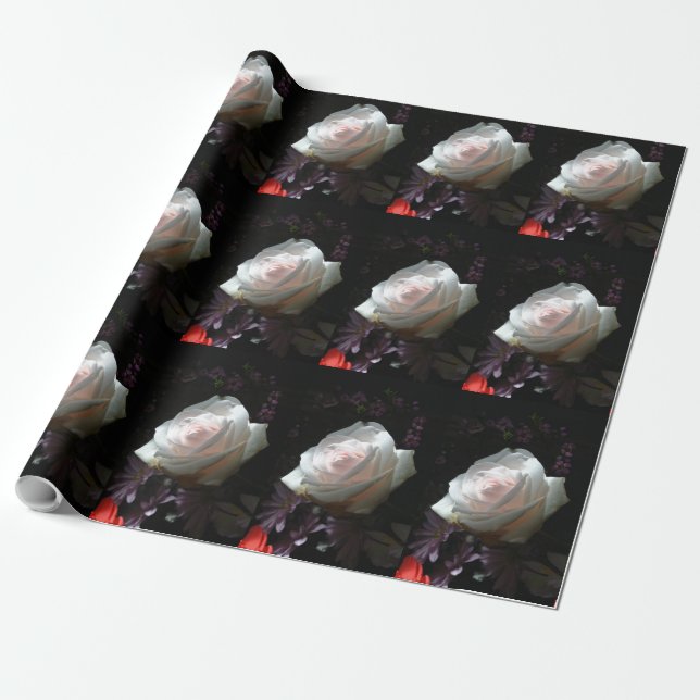 The White Rose - Wrapping Paper (Unrolled)