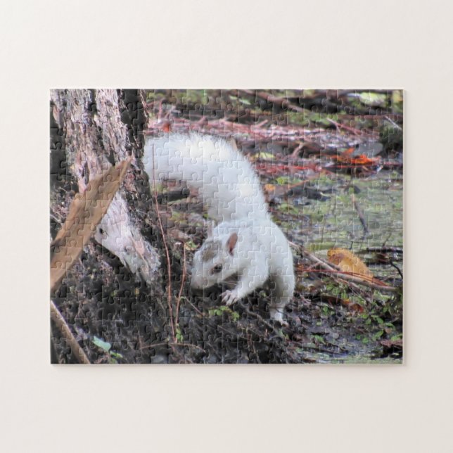 The White Squirrel (Leucistic) Jigsaw Puzzle (Horizontal)