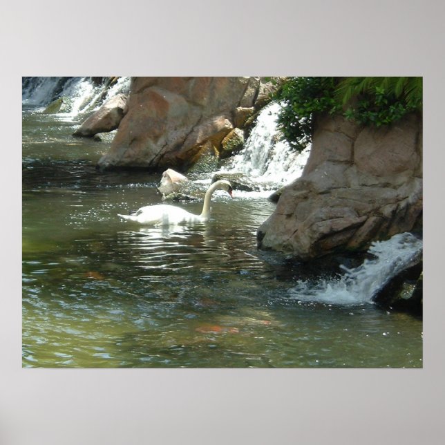 The White Swan Poster (Front)