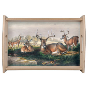 The White-Tailed by Joseph Wolf Serving Tray
