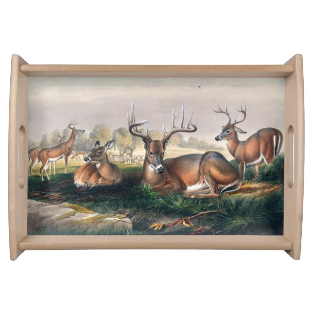 The White-Tailed by Joseph Wolf Serving Tray (Front)