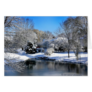 The white world speaks without sound.. cards