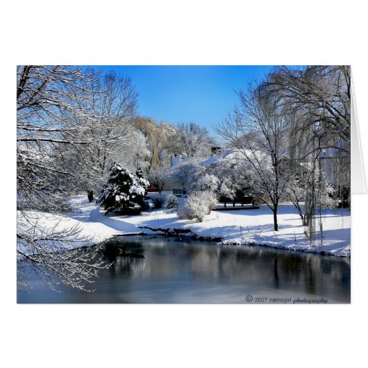 The white world speaks without sound.. cards (Front Horizontal)