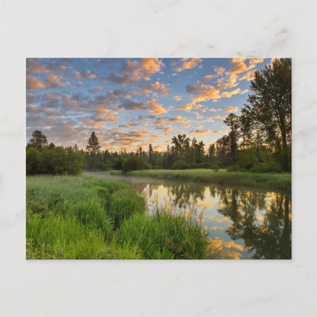 The Whitefish River with nice sunrise clouds Postcard (Front)