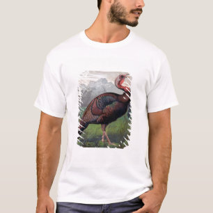 The Wild American Turkey Cock, illustration from ' T-Shirt