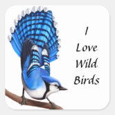 Flying Bird Blue Jay' Sticker