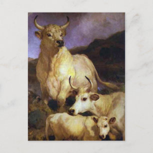 The Wild Cattle of Chillingham by Edwin Henry Land Postcard