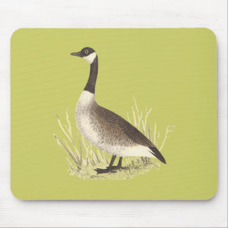 The Wild Goose (Anser canadensis) Mouse Pad