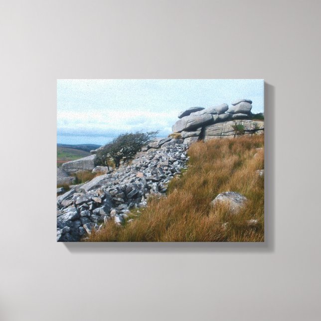 The Wild Moors Bodmin Moor Cornwall England Canvas Print (Front)