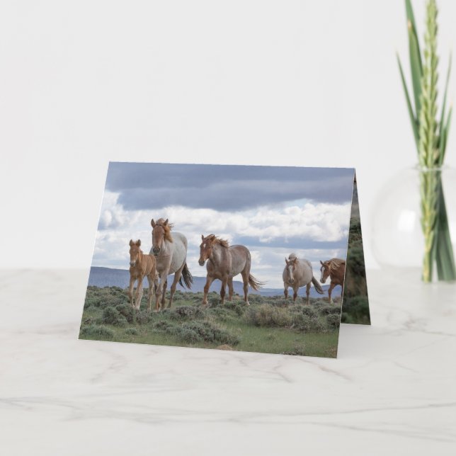 The Wild Roan Family Runs Greeting Card (Front)