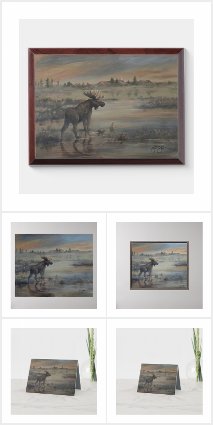 The Wildlife Collection