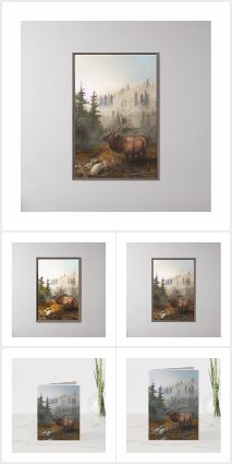 The Wildlife Collection